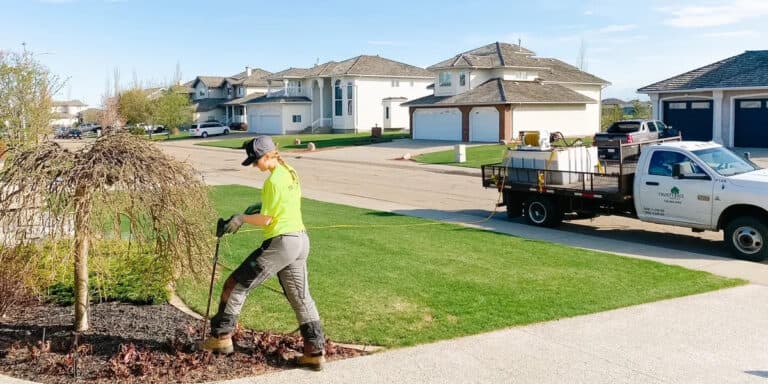 A landscaper trimming a shrub in a residential area with a work truck parked nearby, equipped for deep root fertilizing.