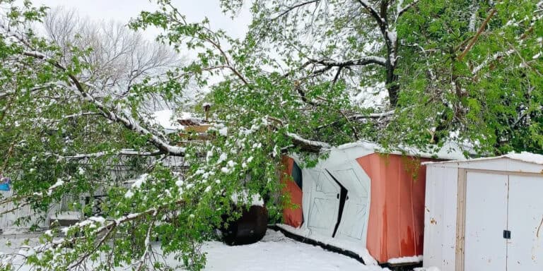 A snow-laden fallen tree branch rests on top of a red shed, needing air conditioner installation Calgary, in a backyard.